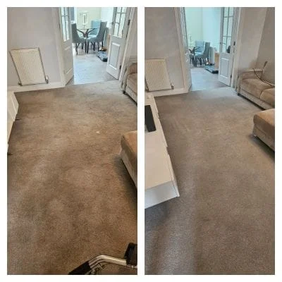 Lounge carpet — deep cleaned and refreshed