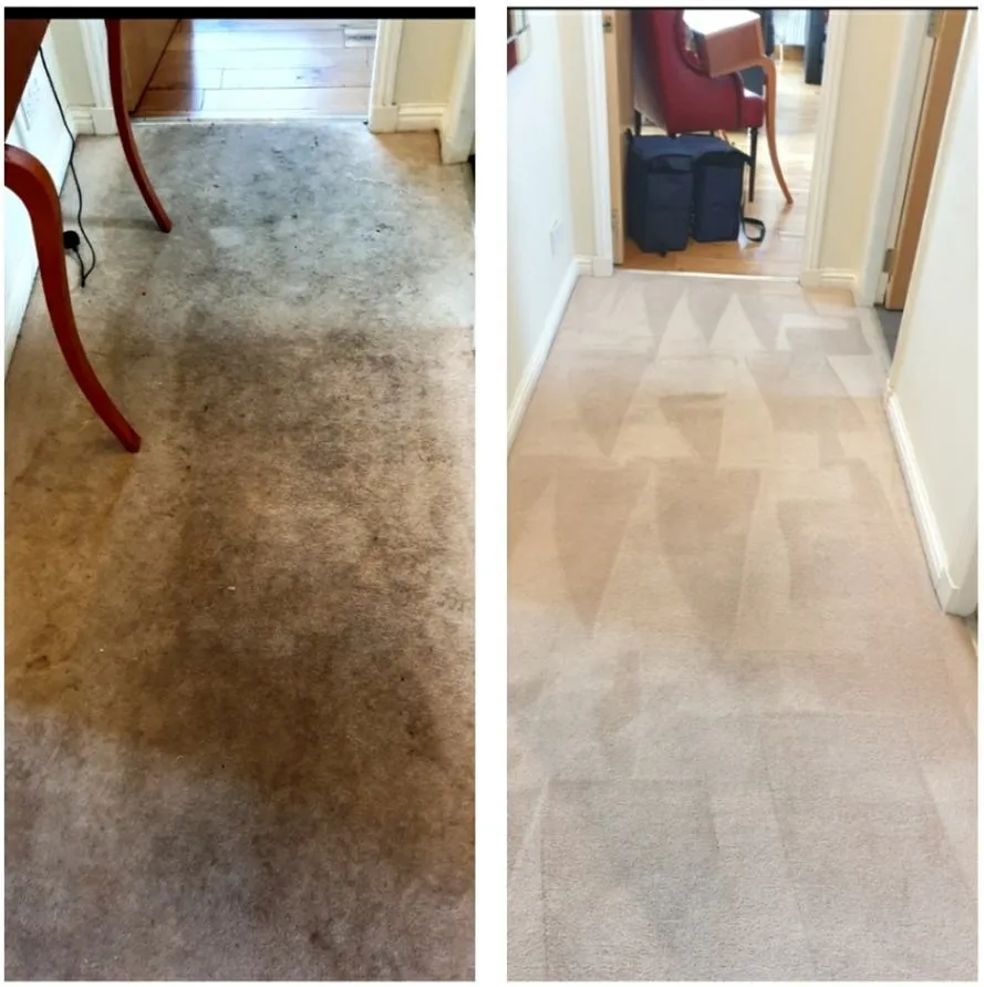 Heavily soiled lounge carpet — fully revived