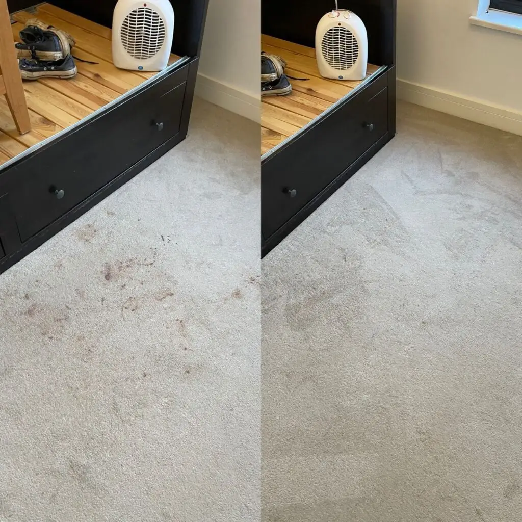 Spotted and stained bedroom carpet — stain-treated and cleaned