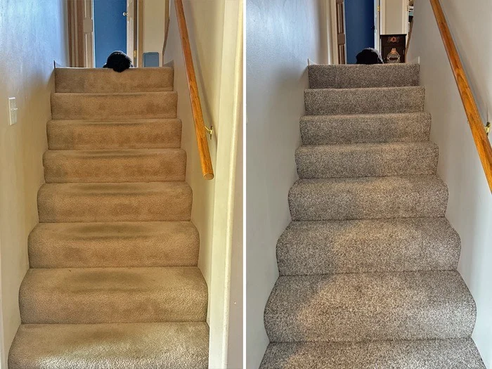 Stair carpet — restored to its original colour
